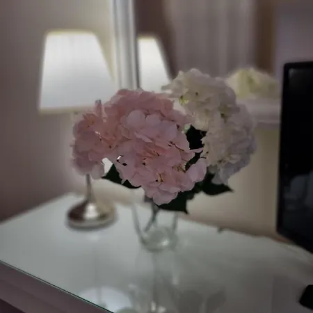 아파트 Maison Romantique *