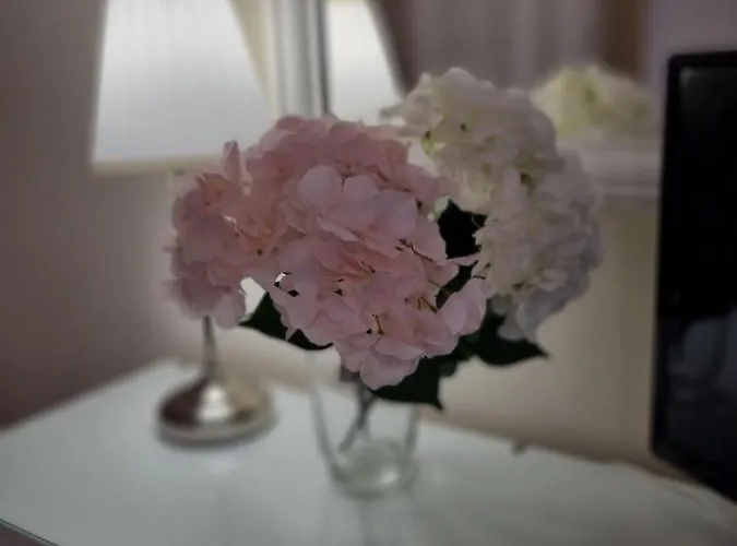 아파트 Maison Romantique *